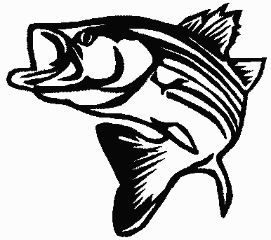 Fish Diecut Decal 77