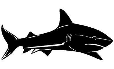 Shark 020