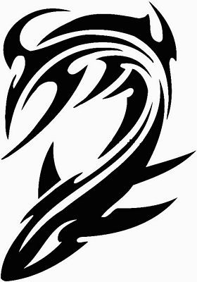 tribal shark 456