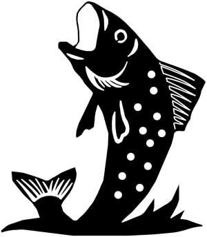 trout 4