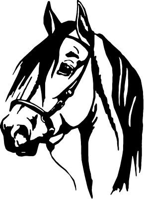Horses Horse Animal Vinyl Car or WALL Decal Stickers 13