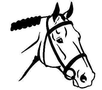 Vinyl Horse Stickers Wall Decals 07