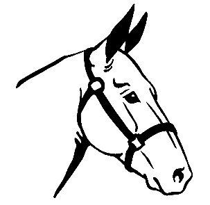 Vinyl Horse Stickers Wall Decals 11