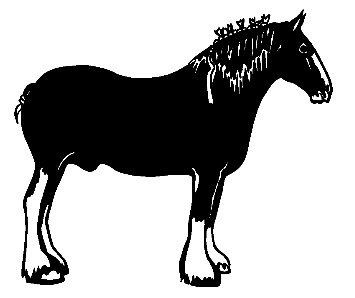 Vinyl Horse Stickers Wall Decals 16