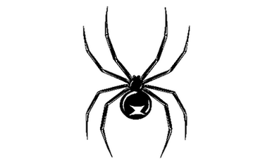 Blackwidow Spider 104