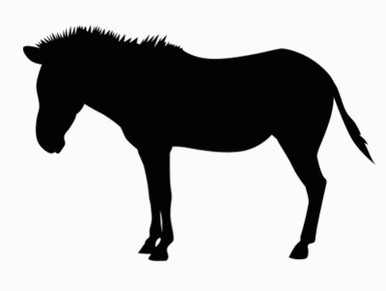 African Animal Decal 17