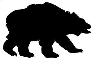 bear