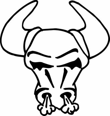 bull 02