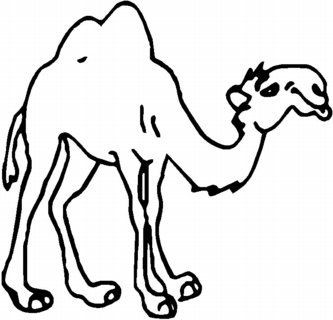 Camel Die Cut Decal 159a