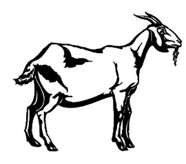 Goat Decal 094