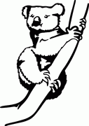 Koala Bear Animal Decals 17