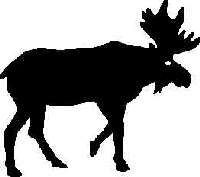 mooss001 moose