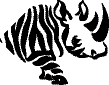Rhino Animal Decals 11