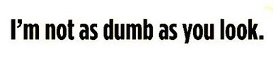 im not as dumb as you look Funny Vinyl Car Decal PAIR