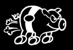 Air Propelled Pig