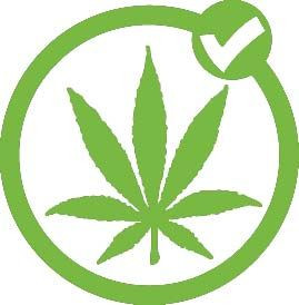 vote pot