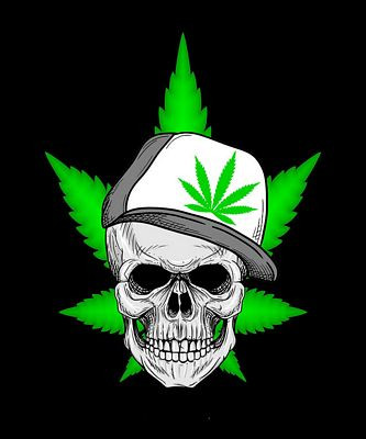 weed cannabis marijuana skull sticker