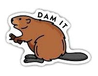 BeaverDam It Funny Animal Cartoon Sticker