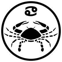 Cancer decal 167D