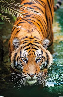 TIGER WILD ANIMAL AI ART STICKER 06