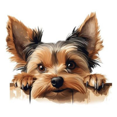 Yorkshire Terrier Car Sticker Dog Sticker