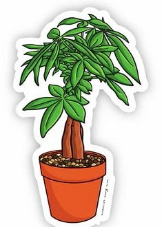 Money Tree plant flower sticker