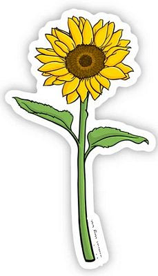 Sunflower plant flower sticker