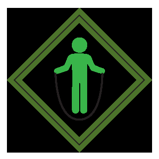 Webelos Stronger Faster Higher