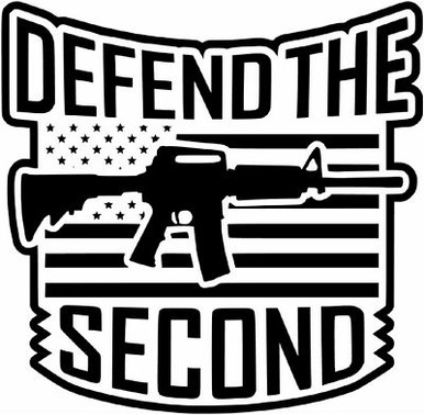 defend the second amendment decal shoot rifle