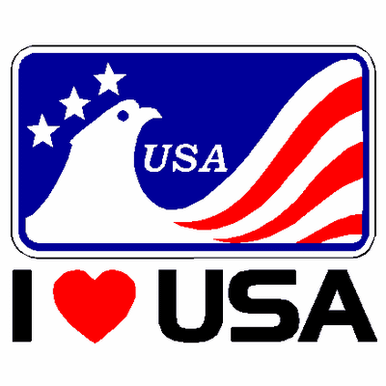 391 I love USA eagle