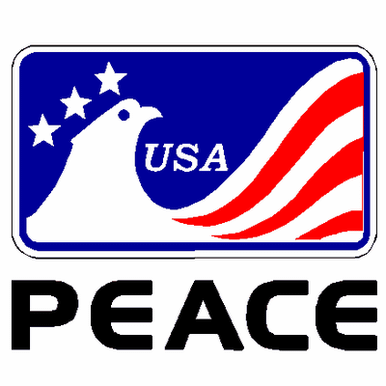 397 Peace Eagle decal