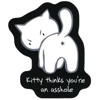 Bad Kitty Decals and Stickers 1 1313