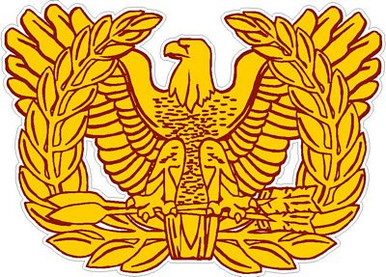 Warrant Officer Insignia Decal