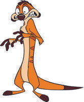 TIMON 01