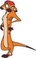 TIMON 04