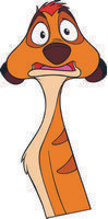 TIMON 06