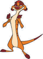TIMON 09