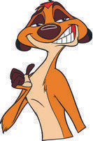 TIMON 11