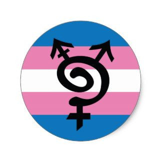 trans pride sticker