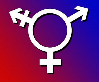 trans sign rectangle sticker