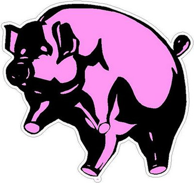 Pink Floyd PIG sticker 2