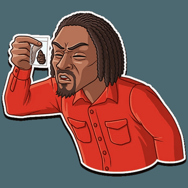 snoop dogg rap rasta king music band window sticker  07