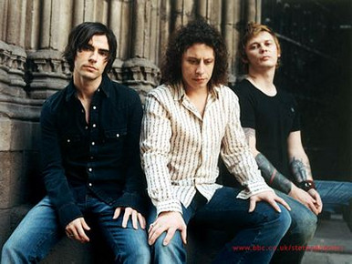 Stereophonics Color Band Decal
