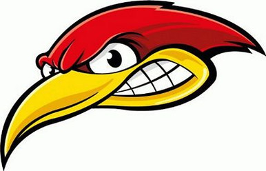Woody Woodpecker Head Funny Cartoon Car ANGRY HEAD STICKER