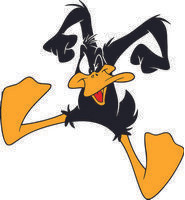 Daffy 06