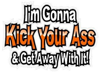 kick your ass Funny Humor Decal Stickers12