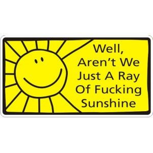 well arent we just a ray of fucking sunshine