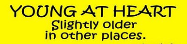 young at heart funny bumper sticker