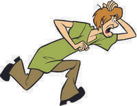 Shaggy 01