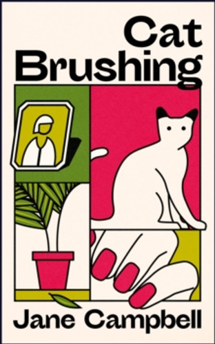 Cat Brushing 9781529421682 Hardback